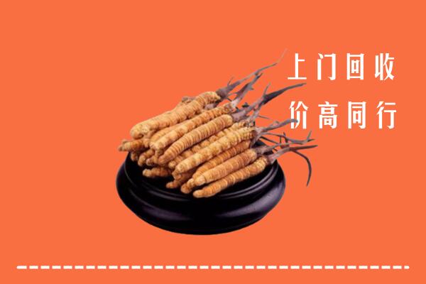 收购行情：天津市武清冬虫夏草回收多少钱每克